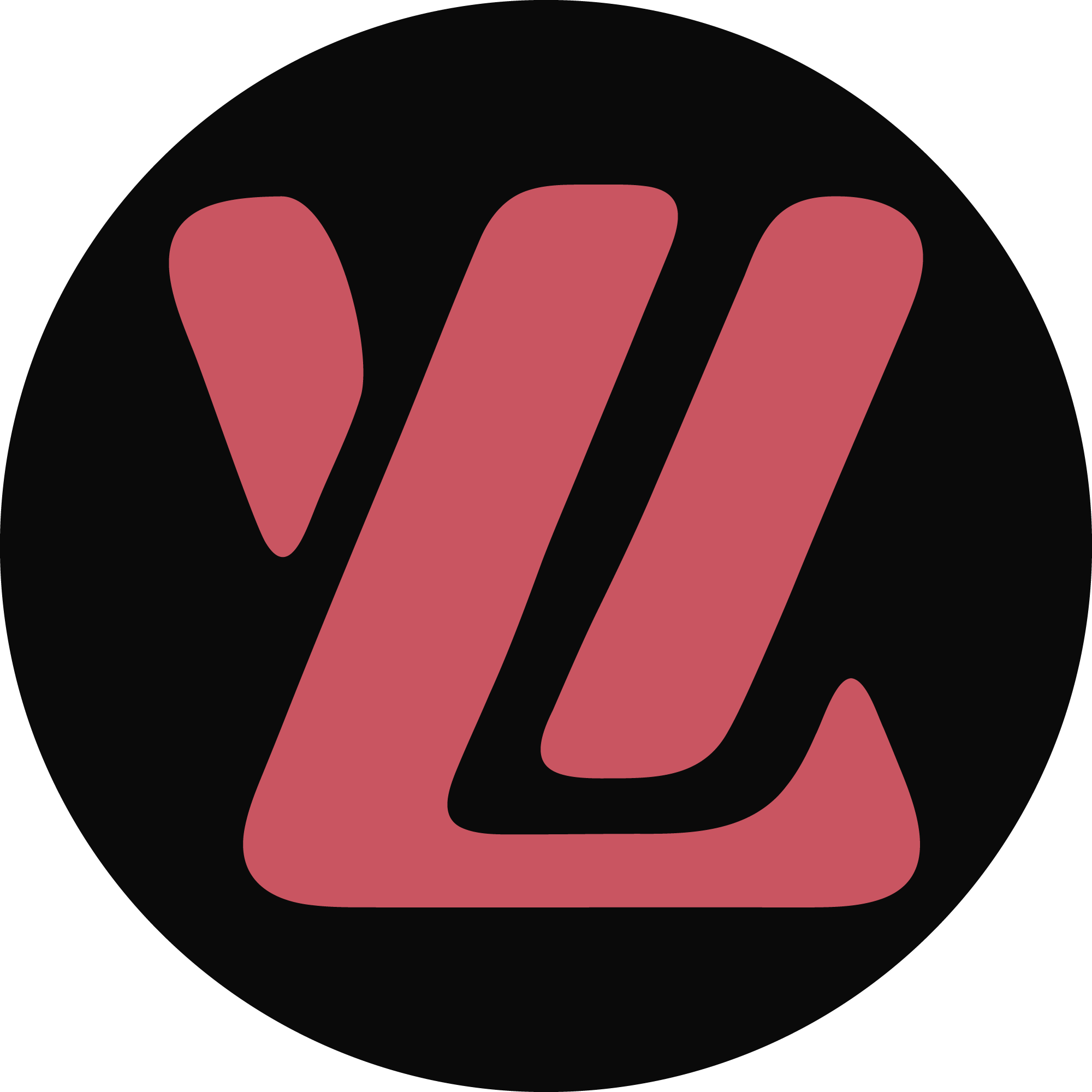 Logo-VLWeb